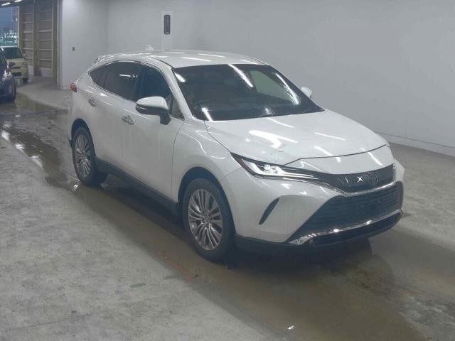 25213899_carP_l_4.jpg