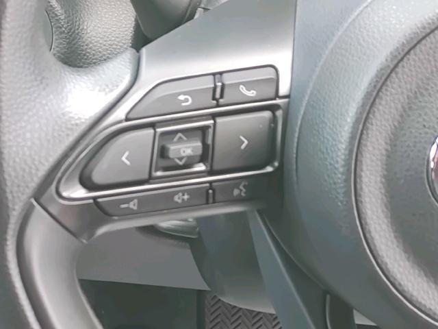 23511125_carP_l_12.jpg