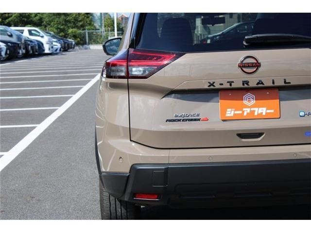 26994870_carP_l_6.jpg