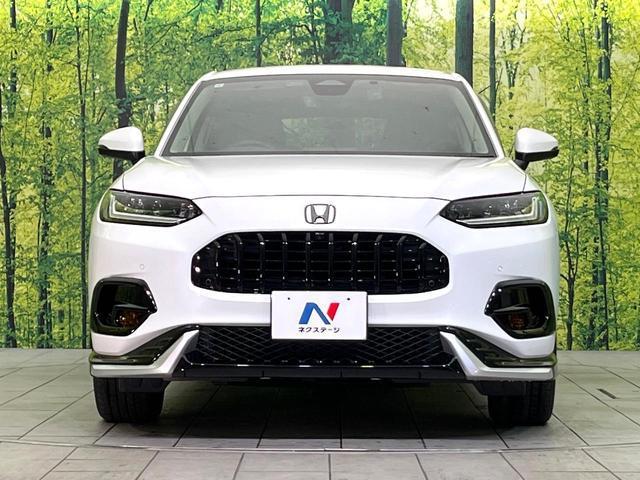 23416588_carP_l_8.jpg