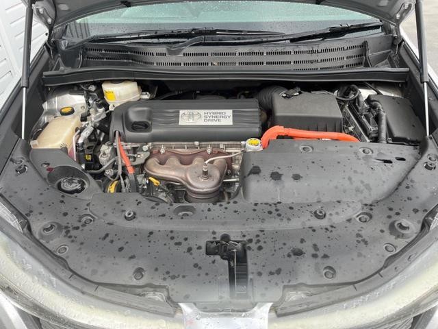 25283716_carP_l_18.jpg