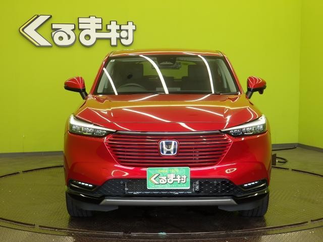 26224812_carP_l_20.jpg