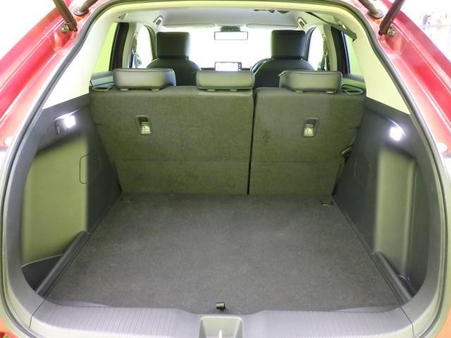 26224812_carP_l_5.jpg