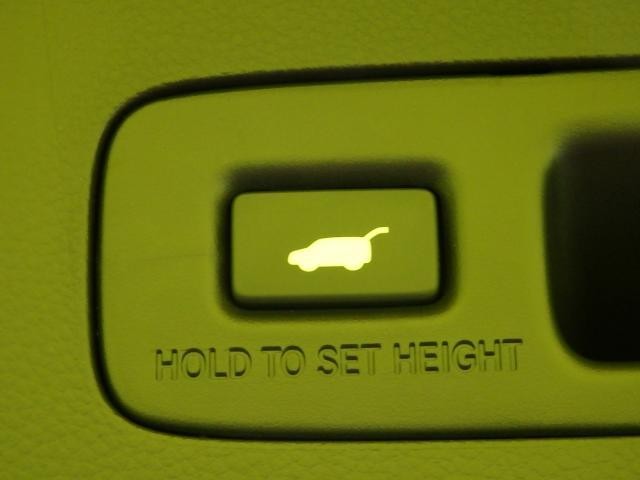 26224812_carP_l_6.jpg