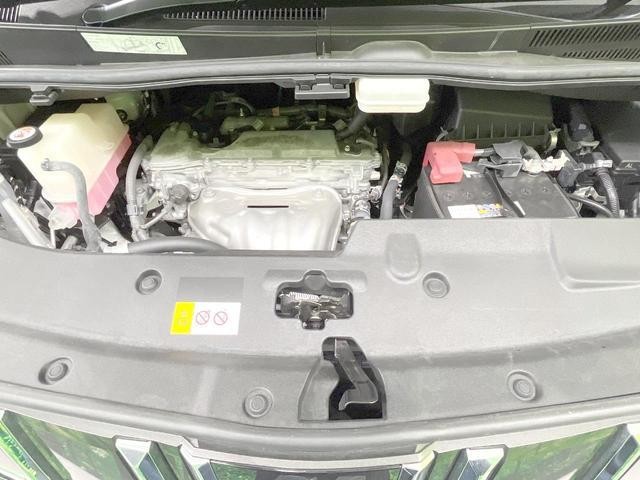 26230685_carP_l_16.jpg