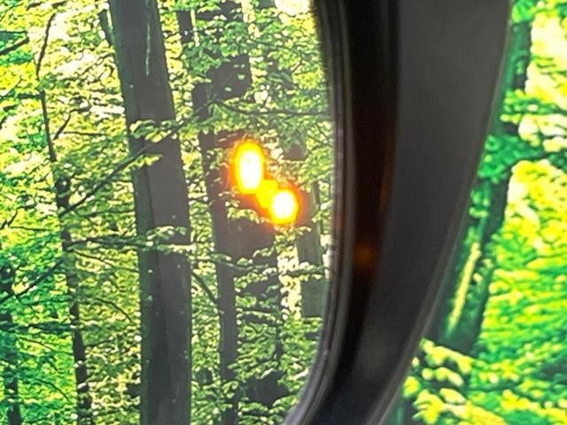 25138356_carP_l_14.jpg