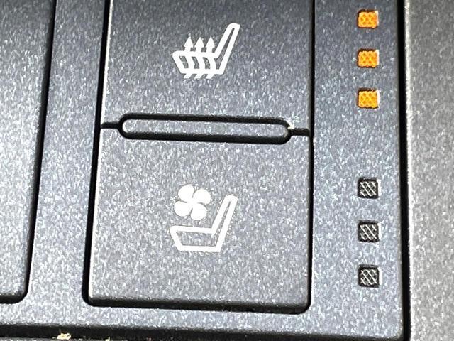25138360_carP_l_2.jpg