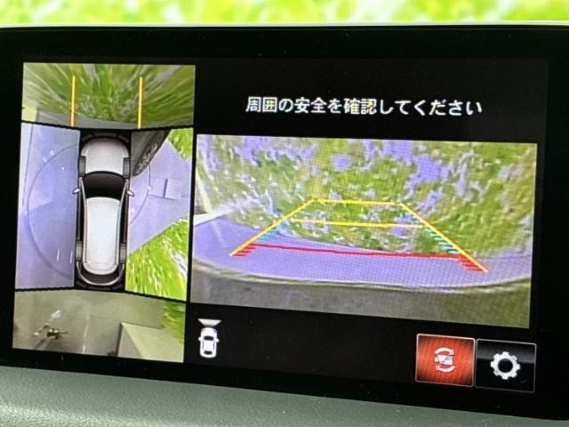23540919_carP_l_8.jpg