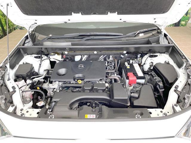 24602980_carP_l_16.jpg