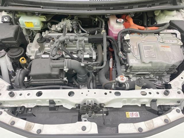 25199648_carP_l_16.jpg