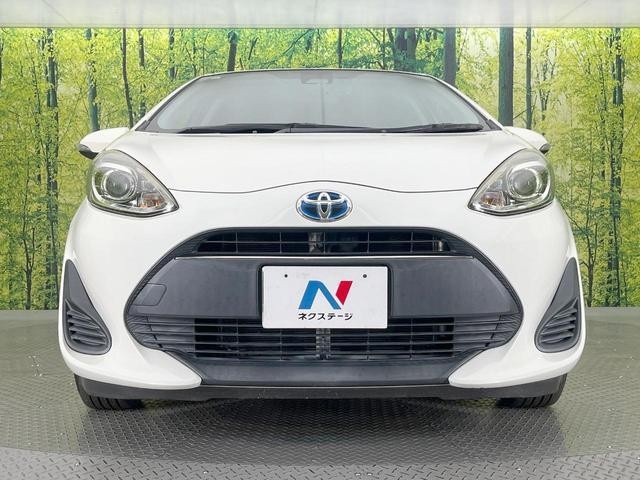 25199648_carP_l_8.jpg