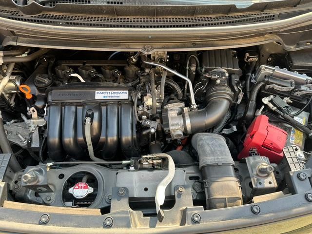 25383881_carP_l_18.jpg