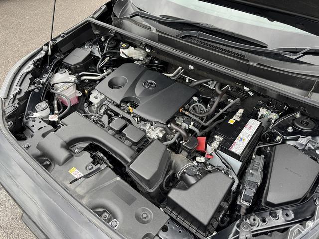 23295026_carP_l_20.jpg