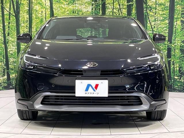 25384503_carP_l_8.jpg