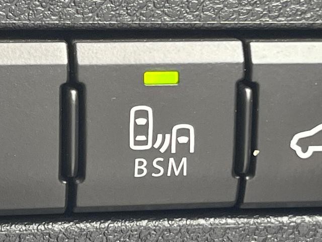 26209547_carP_l_10.jpg