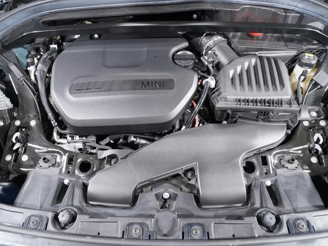 24908125_carP_l_14.jpg