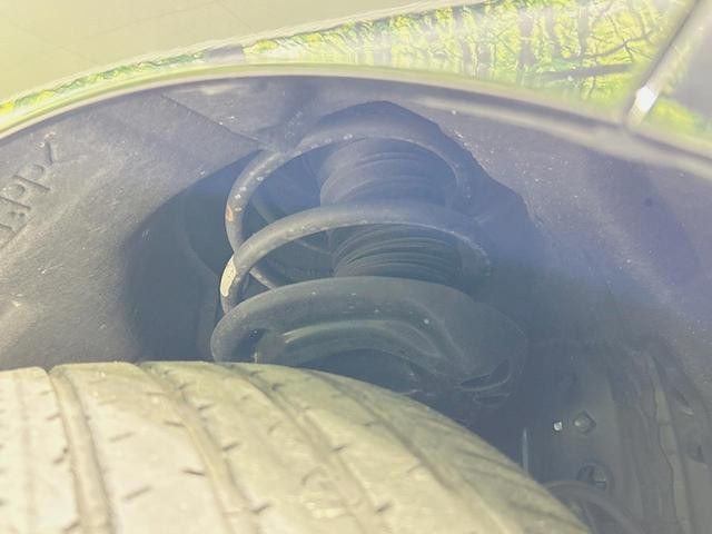 25425882_carP_l_20.jpg