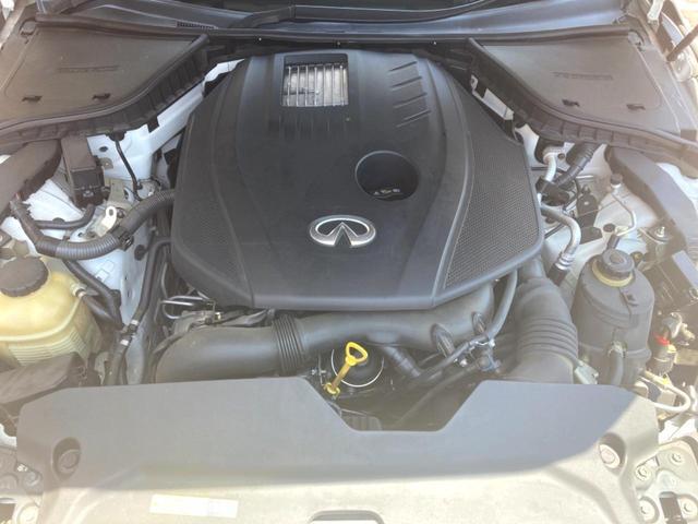 24994309_carP_l_16.jpg