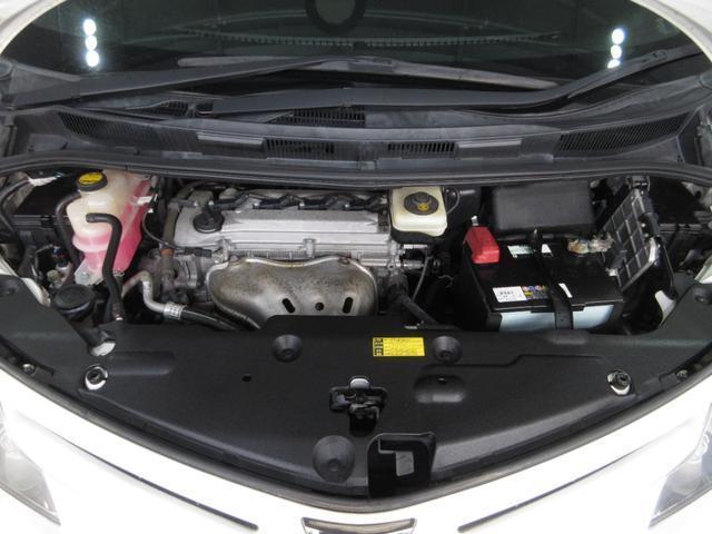 24234477_carP_l_20.jpg