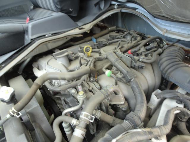 24128731_carP_l_17.jpg