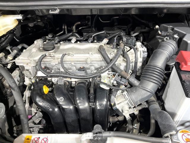 26209751_carP_l_18.jpg