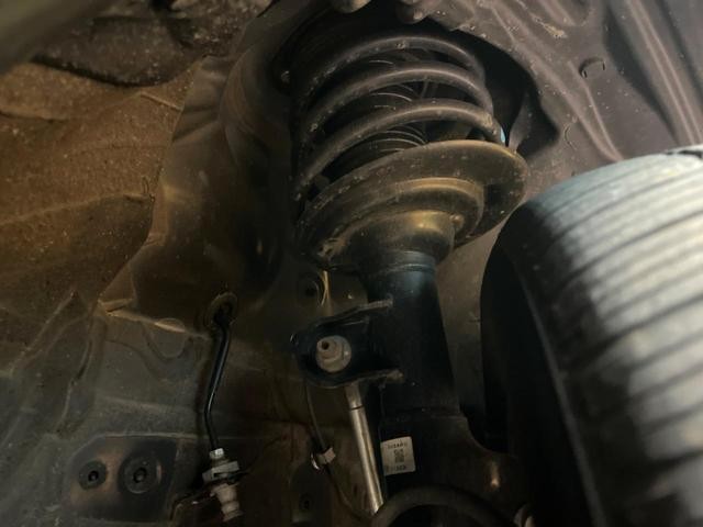 24994567_carP_l_20.jpg