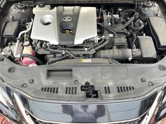 26126346_carP_l_16.jpg