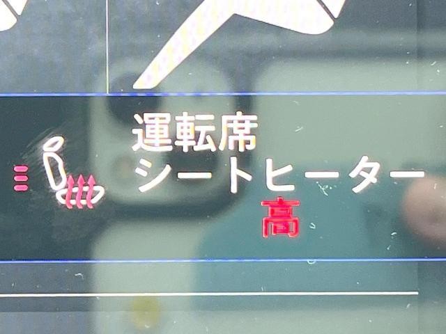 26401950_carP_l_14.jpg