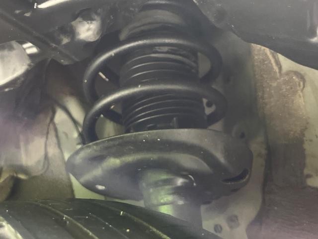 26230798_carP_l_20.jpg