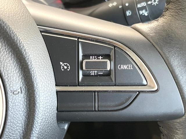 25506733_carP_l_10.jpg