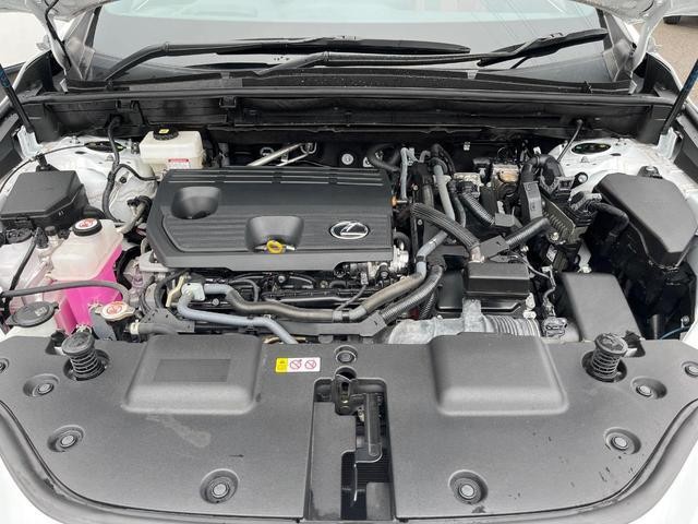 25571216_carP_l_16.jpg