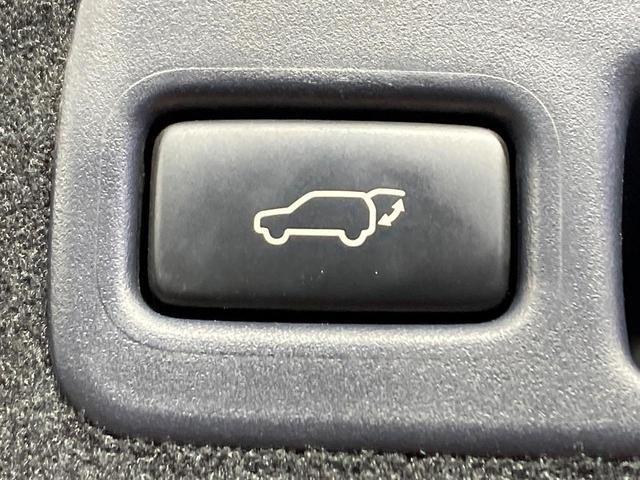 24133660_carP_l_13.jpg