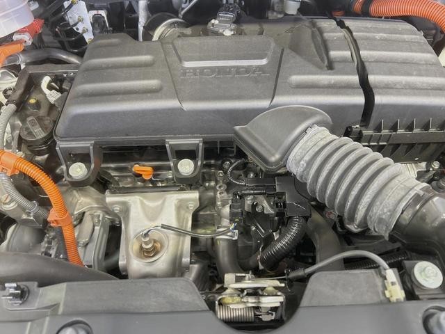 26230896_carP_l_18.jpg