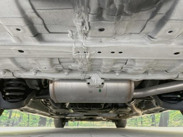 26230896_carP_l_20.jpg