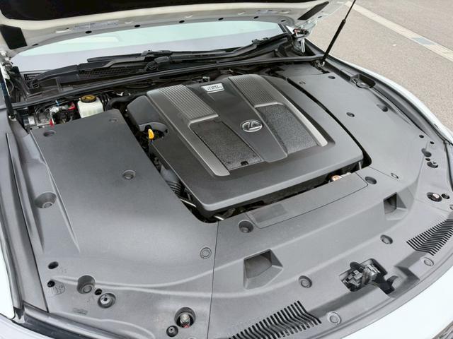 24133182_carP_l_20.jpg