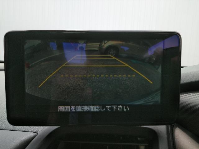 23276077_carP_l_10.jpg