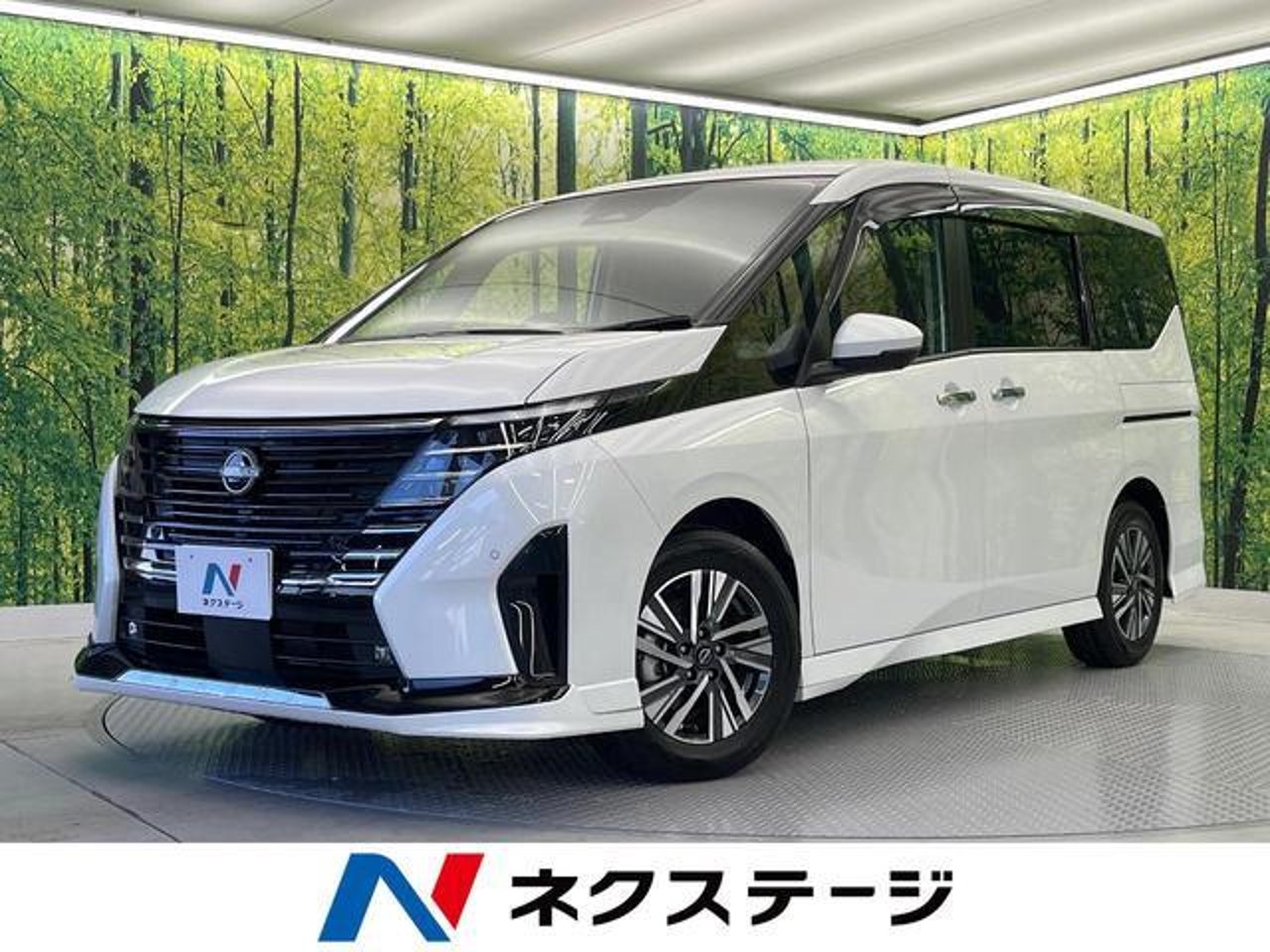2023 Nissan Serena, photo 1 of 1