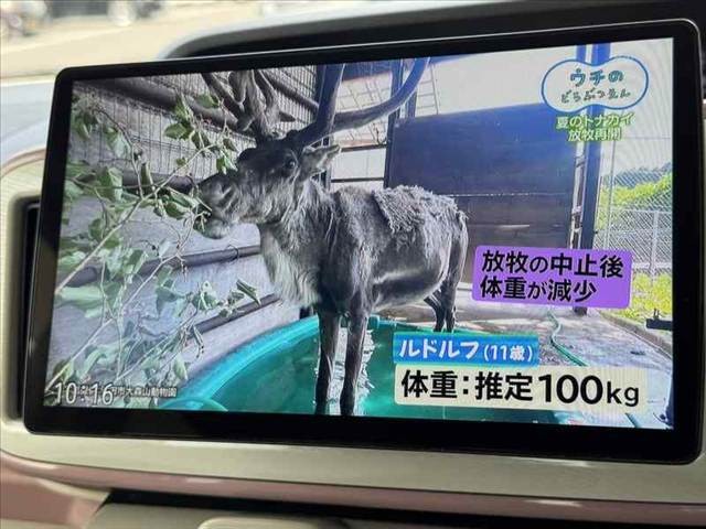 04.jpg