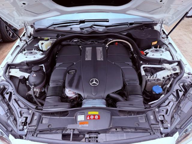 24052044_carP_l_12.jpg