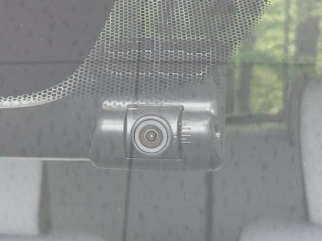 26230899_carP_l_13.jpg