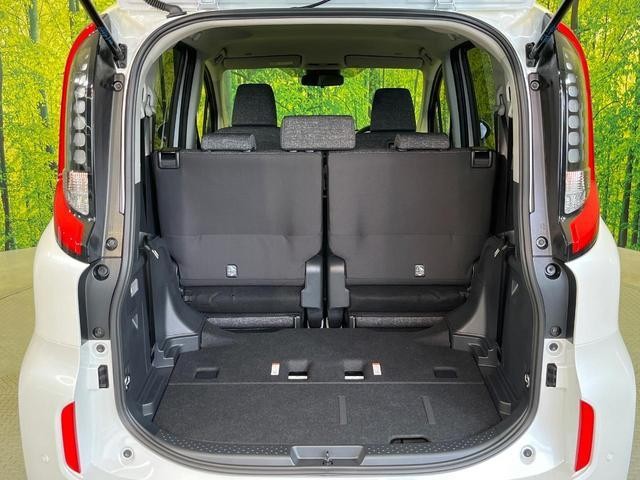 25571203_carP_l_5.jpg
