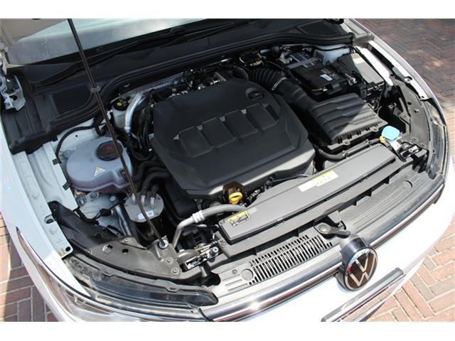 24056351_carP_l_16.jpg