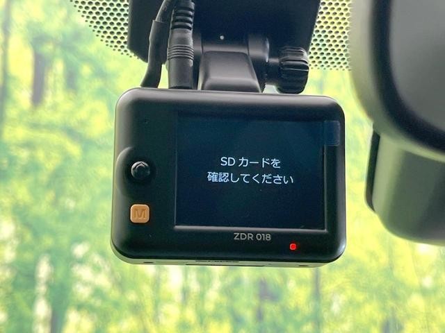 25571533_carP_l_10.jpg