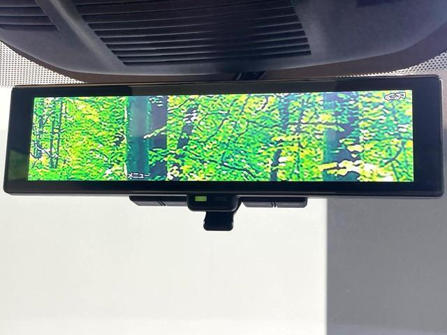 24051588_carP_l_10.jpg