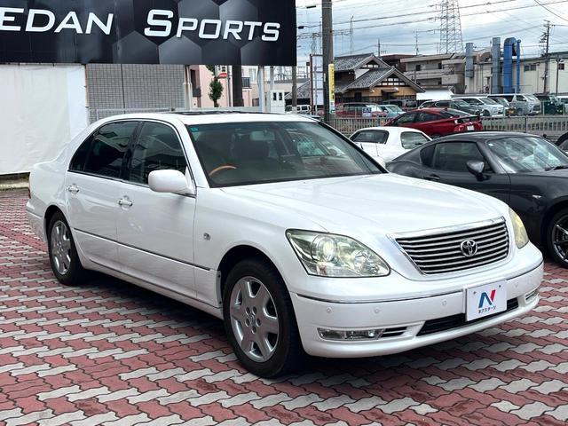 24111408_carP_l_11.jpg