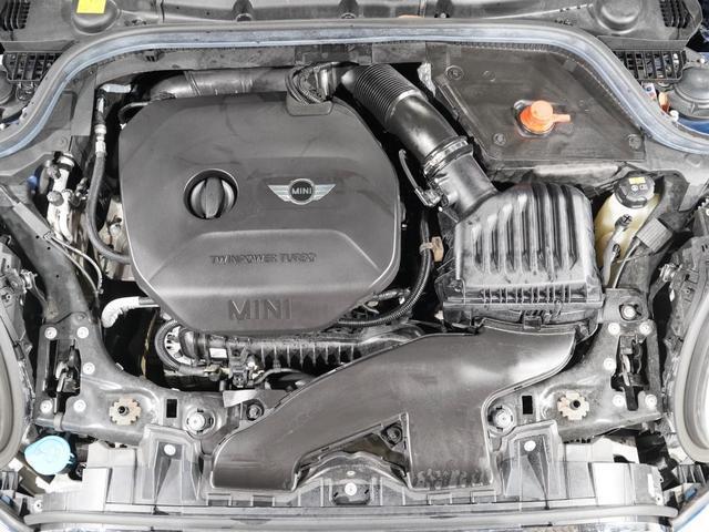 24069719_carP_l_14.jpg