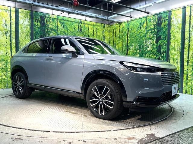 25506782_carP_l_11.jpg