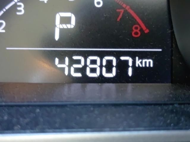27232724_carP_l_2.jpg