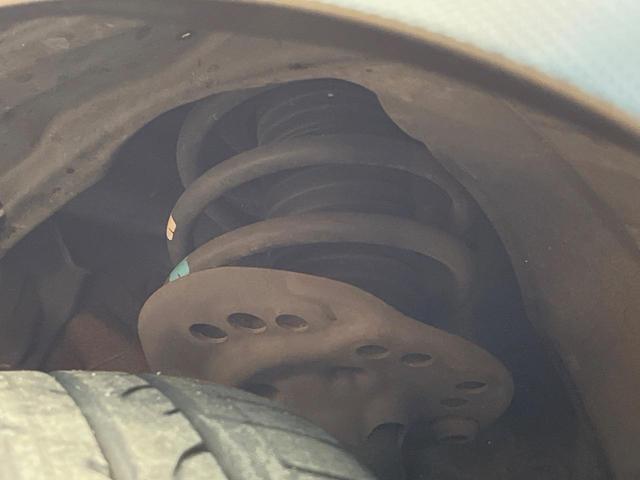 24706091_carP_l_20.jpg