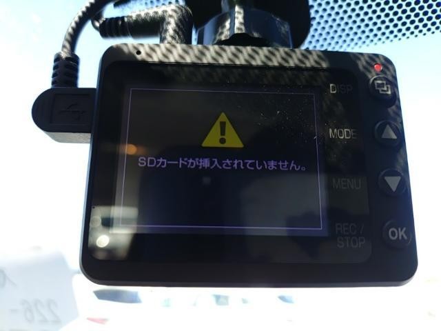 26028313_carP_l_12.jpg